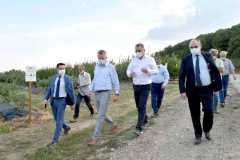 IMG-6